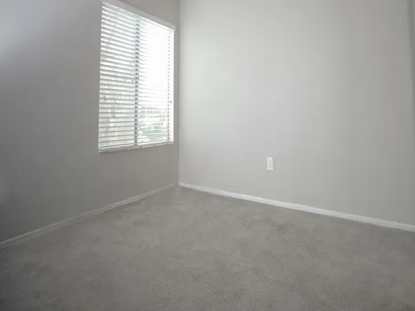 Clean carpet after deep cleaning service